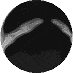 a xray of my hands on a rotating sphere